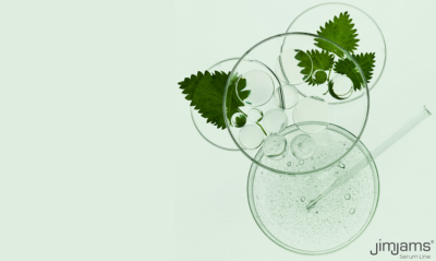 Szakmai interjú Csordásné dr. Rónyai Erikával