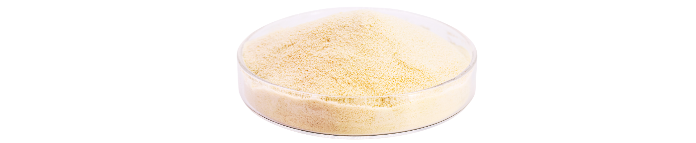 Leucine