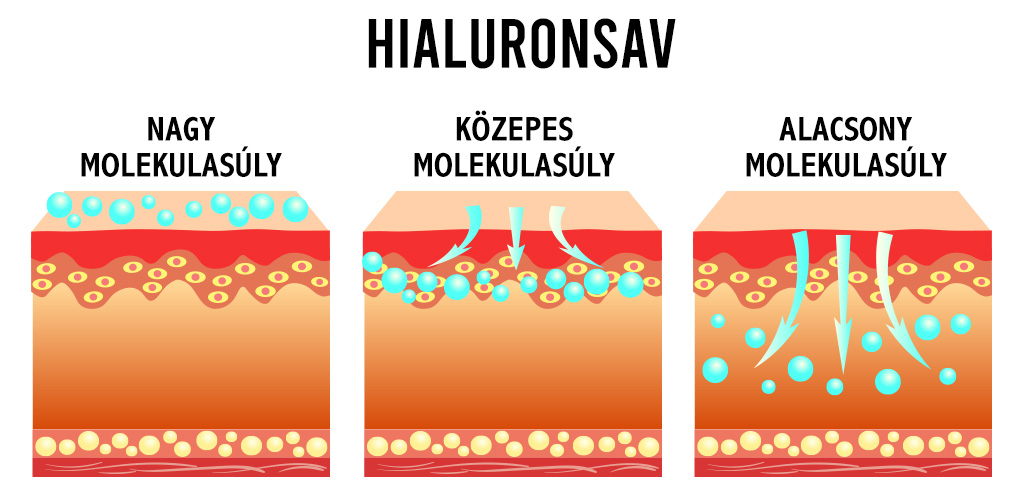 Molekulasúly szerinti útmutató – melyik mire jó?